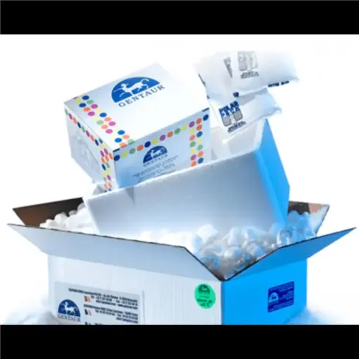 [FA8001G]  IFA Toxoplasma IgG Test System 10 x 10 wells - 10 x 10 wells